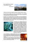 PDF: Erfahrungsbericht - Auslandsstudium. Universidad Complutense de Madrid.