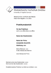 PDF: Deckblatt_Praktikumsbericht. deutsch-spanisch.