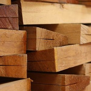 Foto: Holz