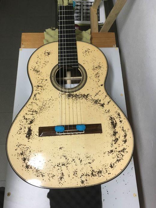 Foto: Einfluss des Sattelmaterials auf die akustisch-musikalischen Eigenschaften von Konzertgitarren - Ansicht von oben