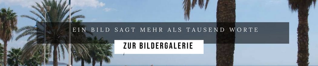 Banner: Ein Bild sagt mehr als Tausend Worte. Zur Bildergalerie.