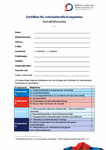 PDF: Formular. Erfahrung im Ausland.