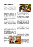 PDF: Studienzeitartikel von Kathleen Roth