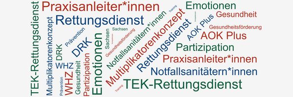 Abbildung: Wortwolke mit Begriffen rund um das Forschungsprojekt TEK