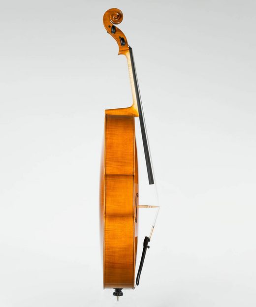 Foto: Violoncello - Seitenansichts links