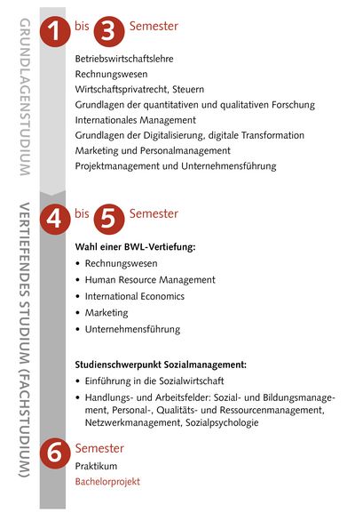 Illustration: Studienablaufplan Studiengang Management