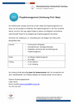 PDF: Information zur Vorlesung. Projektmanagement (Prof. Gäse)