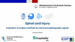 PDF: Präsentation. Titel: Spinal cord injury.