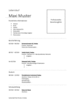 PDF: Muster eines Lebenslauf.