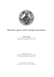 PDF: Dissertation. Function spaces with varying smoothness.