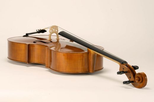Foto: Violoncello - liegend