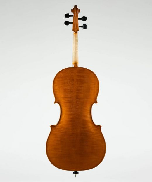 Foto: Violoncello - Rückansicht