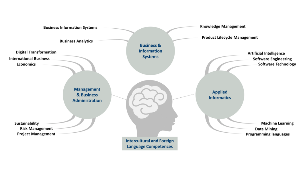 Overview of the skills and competences taught in the MACS study programme.
