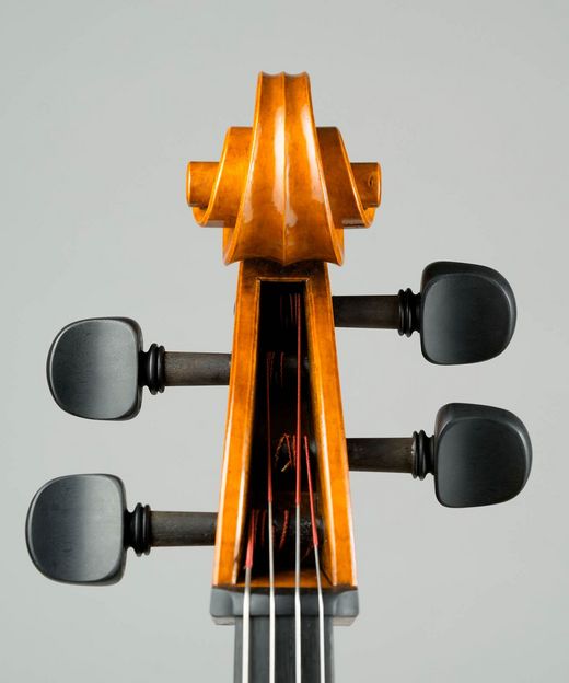 Foto: Violoncello - Detail