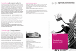PDF: Informationsflyer. Gestaltung Design Bachelor und Master.