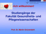 PDF: Präsentation. Hochschulinformationstag. Fakultät Gesundheits- und Pflegewissenschaften.