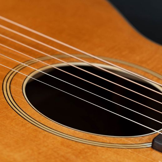 Foto: Gibson - Details