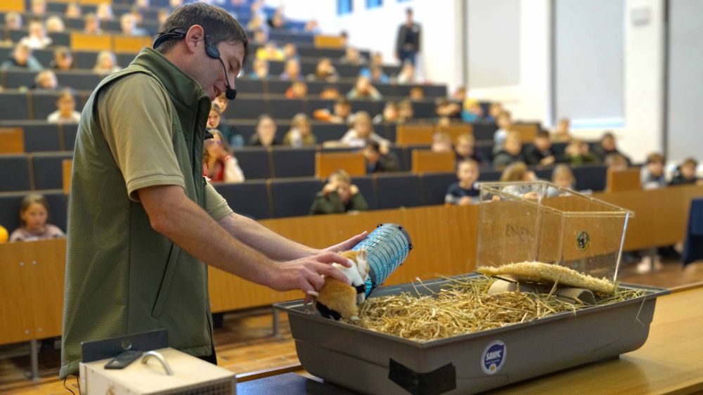 Eine Person in Zookleidung bewegt einen Plüschtierhamster durch einenb geöffneten Hamsterstall. 
