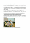 PDF: Mit Foto. Innovationspreis des Rotary Club Plauen 2007.