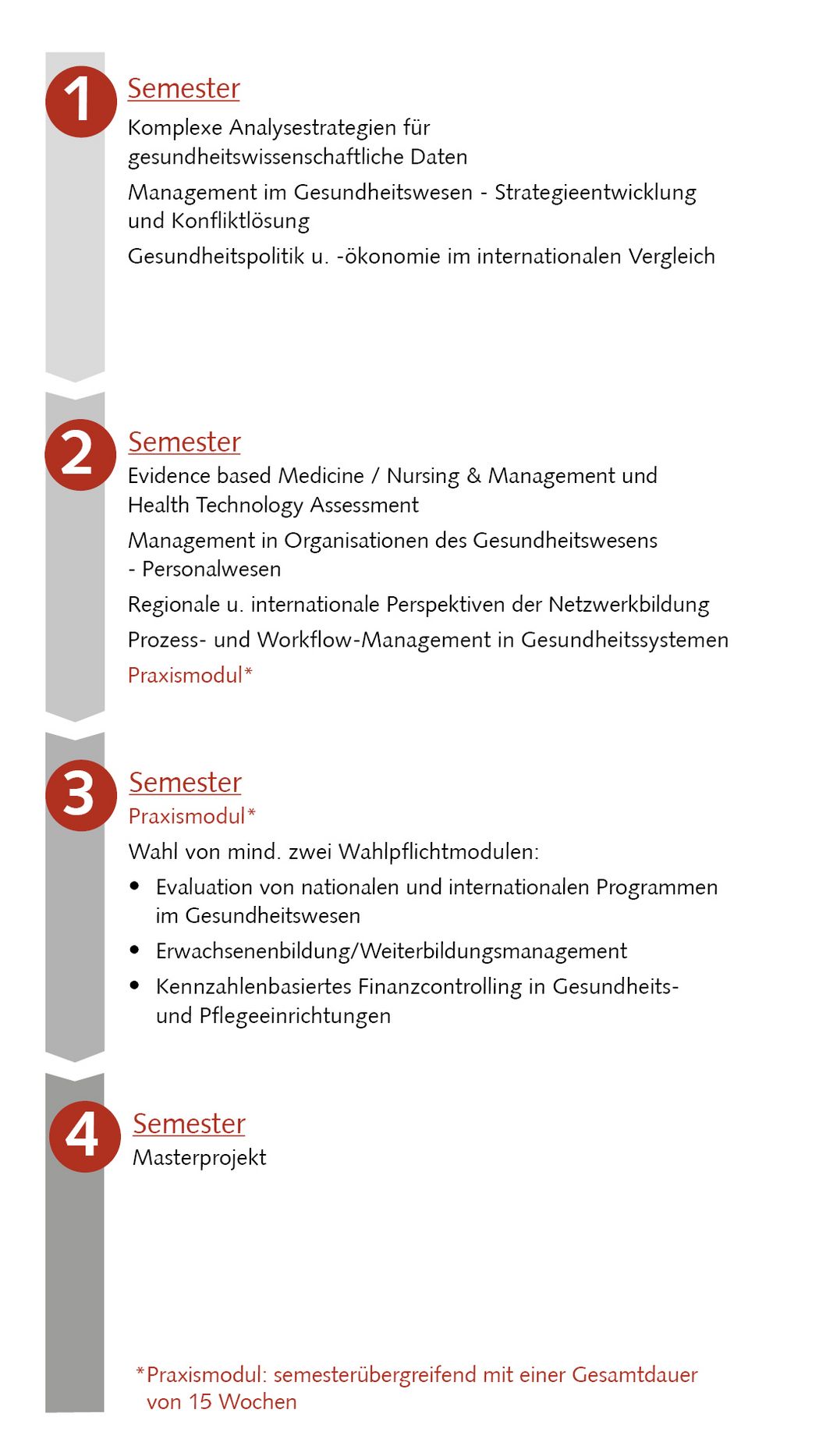 Bild: Studienablaufplan Gesundheitswissenschaften (Master)