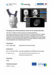 PDF: Entwicklung eines patientenspezifischen Systems für die Tiefenhirnstimulation.