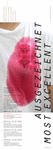 PDF: Ausgezeichnet most excellent. Schmuck_Kunst für Helden. Internationales Ausstellungsprojekt 2016 in Klaffenbach.