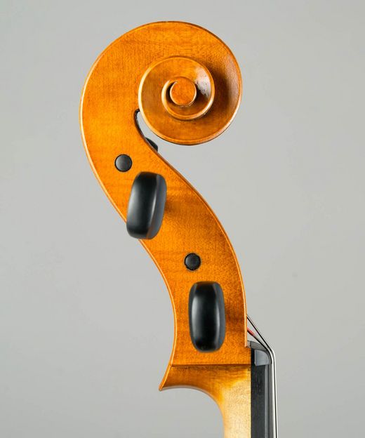 Foto: Violoncello - Detail