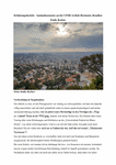 PDF: Erfahrungsbericht Brasilien 2019/2020