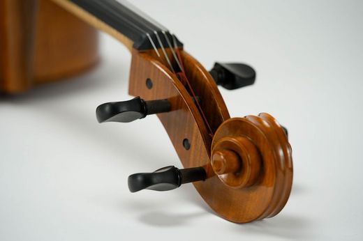 Foto: Violoncello - Detail