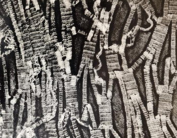 Foto: Ergebnis des Druckes, graue Strukturen, verschiedene Nuancen/Graustufen