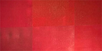 Foto: roter Hintergrund, mehrere Nuancen