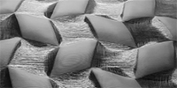 Vorschaubild Abschlussarbeit "BELOW THE PATTERN" von Rebecca Milautzcki 