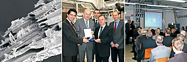 IfP-News - Oktober 2012