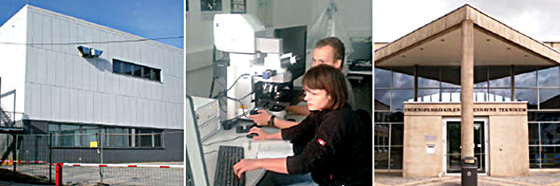 IfP-News - März 2013