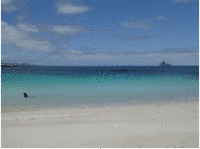 Foto: Blick auf einen Sandstrand und das Meer.