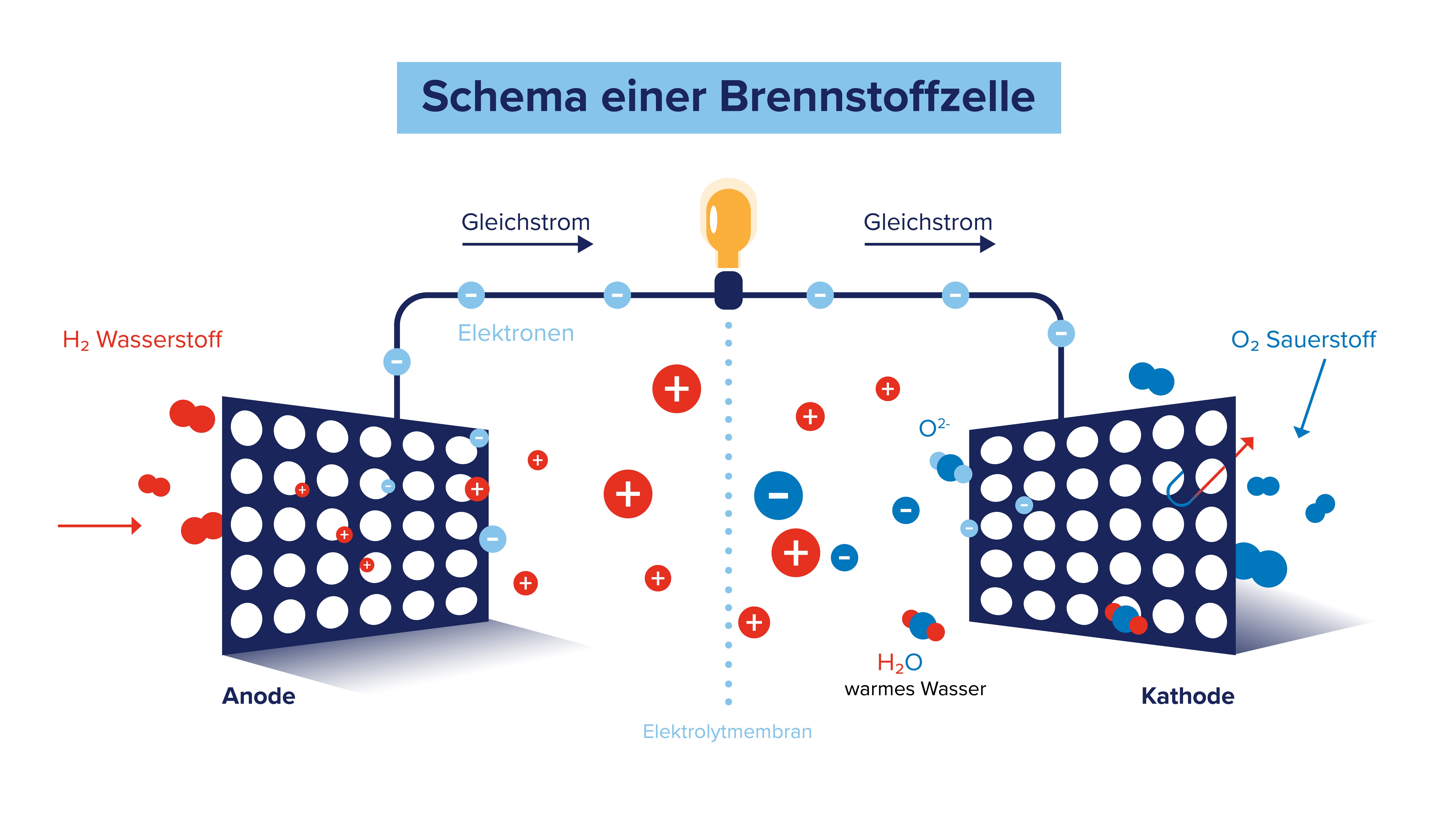 Das Bild erklärt die chemische Reaktion einer Brennstoffzelle. 