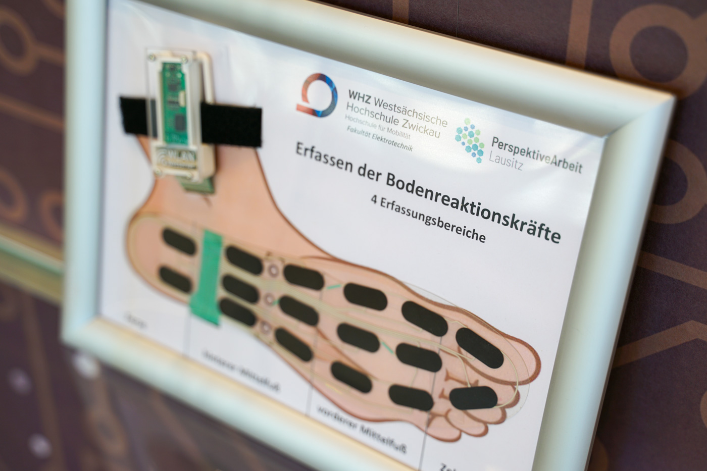 Auf dem Foto sieht man das Schaubild der Sensor-Einlegesohle, wie es in der Ausstellung platziert ist.