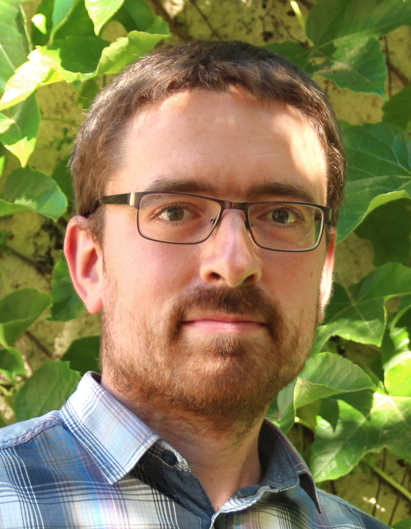 Prof. Jens Flemming blickt in die Kamera 