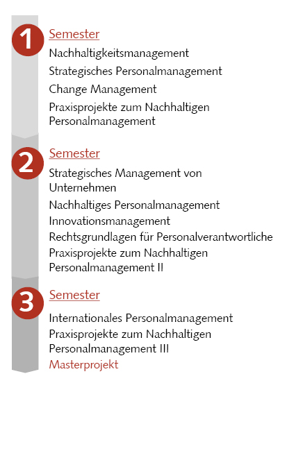 Bild: Studienablaufplan Nachhaltiges Personalmanagement