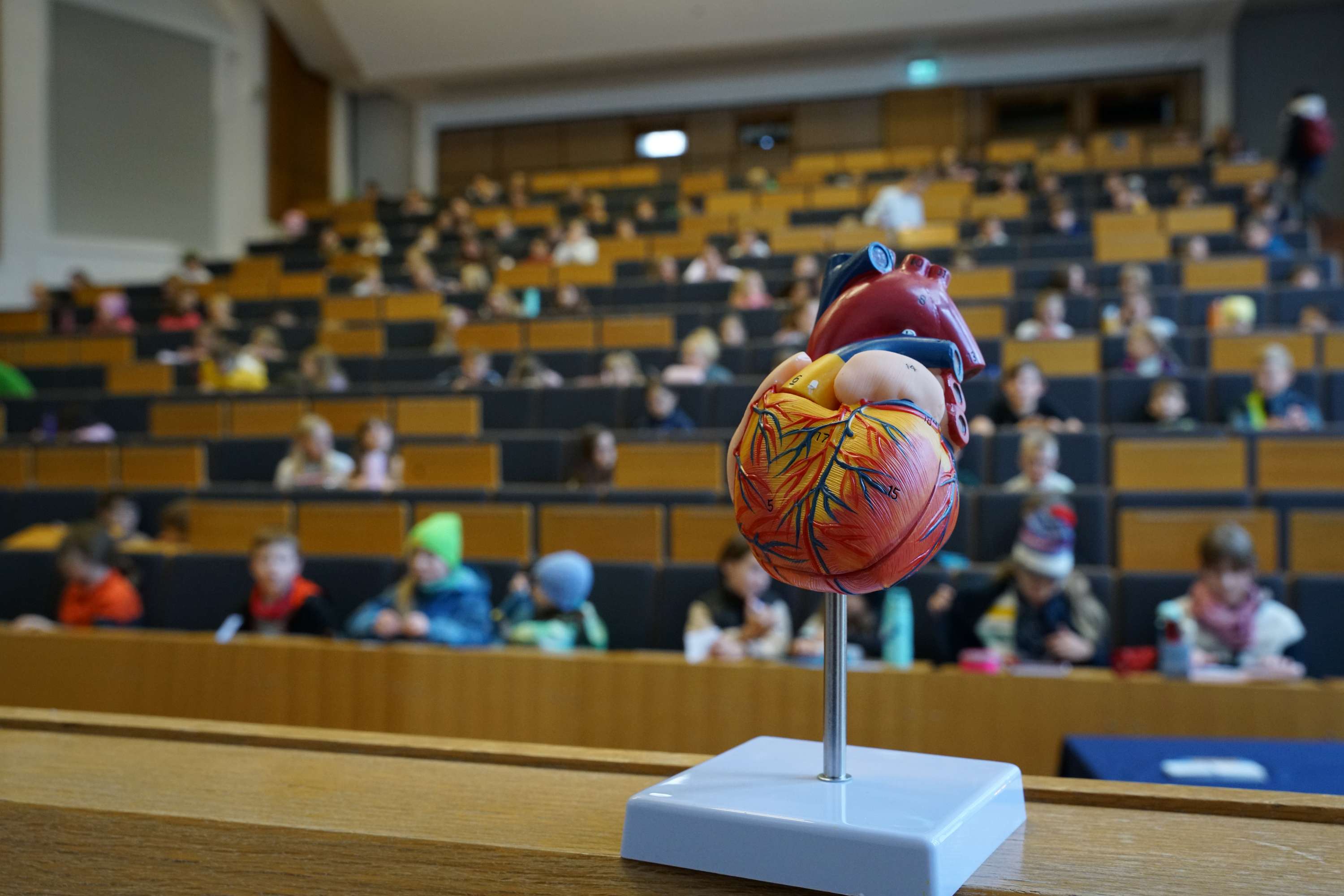 KinderUni, ein Modell des Herzens steht auf dem Pult, im Hörsaal sitzen Kinder